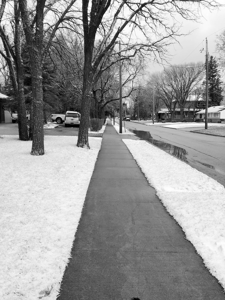 yvonnehansen5's tweet photo. Day108 #200crew Another beautiful snowy morn with 40km light wind💨 Such a refreshing walk🤪 #WinnipegSpring @marianne6x7 @CathyDanyluk @100DaysOfWalkin @OldDublinTown #Diaspora #StaySafeStayHealthy 😷🇮🇪❤️🇮🇪 https://t.co/4tOKxwZHkO