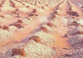 #٦رمضان_١٤٤٢ 🌙
.
ولنا في شهرك يارب أمنيه وجاء🙏🏻
 بأن ترحم روحاً طاهره كانت تترقب شهر #رمضان معنا في كُل عام وتفرح به، 
واليوم هي في قبورها نسألك النور له والرحمة ،
ونسألك جنة عرضها السماوات والأرض..
اللهم ارحم #ابي و #اخي 💔
وجميع اموات المسلمين🙏🏻