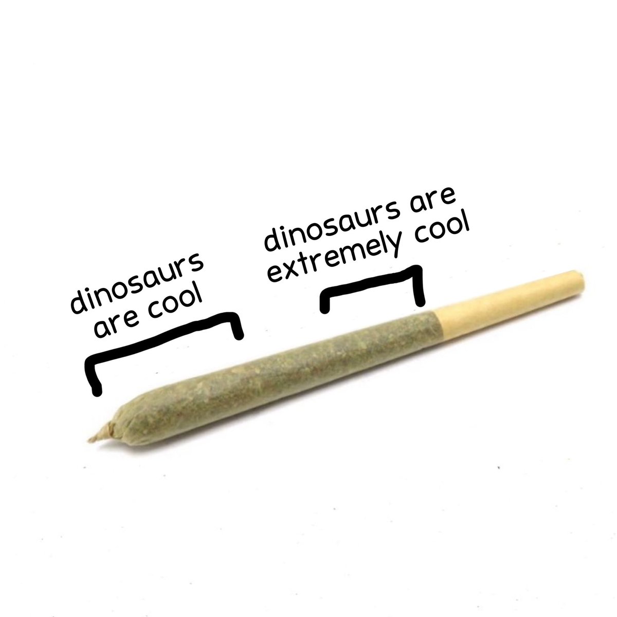 dinosaurcouch's tweet image. 