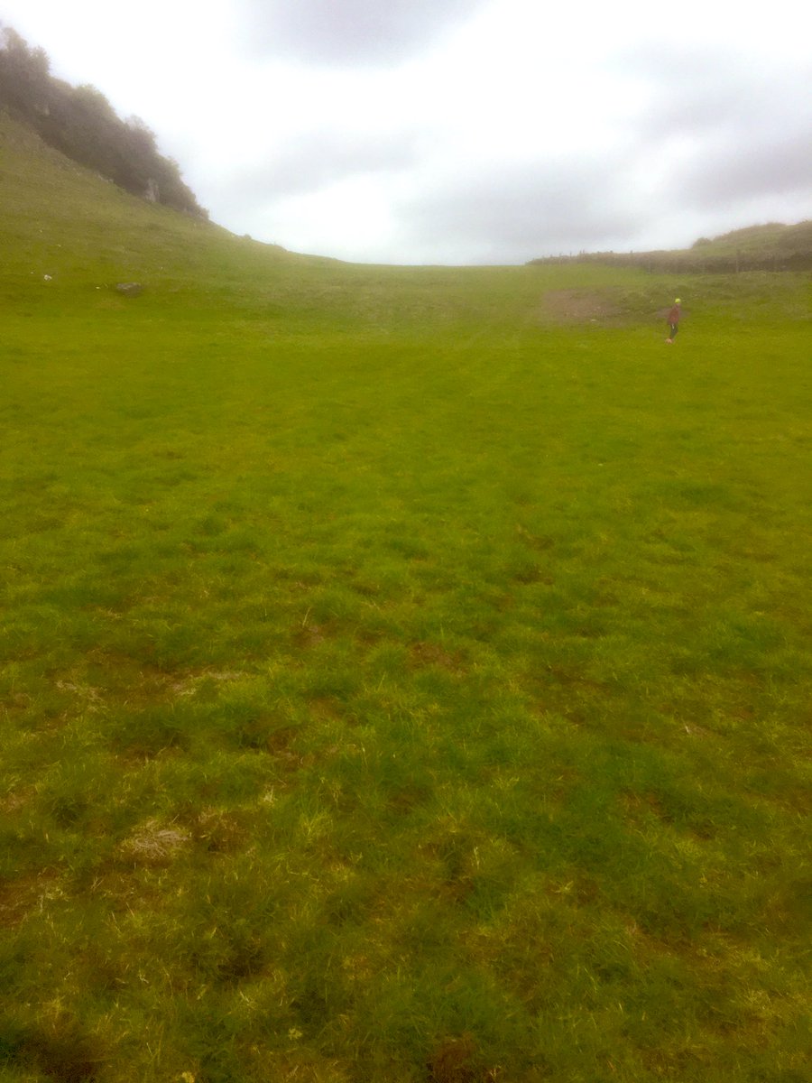 AnneCronin5's tweet image. So good to get outta the 5k zone. 
The boy brought the ball up the mountain &amp;amp; I brought my #MichaelDHiggins badges! #freedom