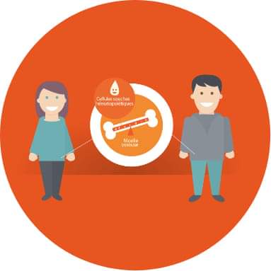 LA MOELLE OSSEUSE C'EST QUOI AU JUSTE
lasapaudia.org/dvmo
👍💚👍
#JulesOnParis #Julia #soniamyr