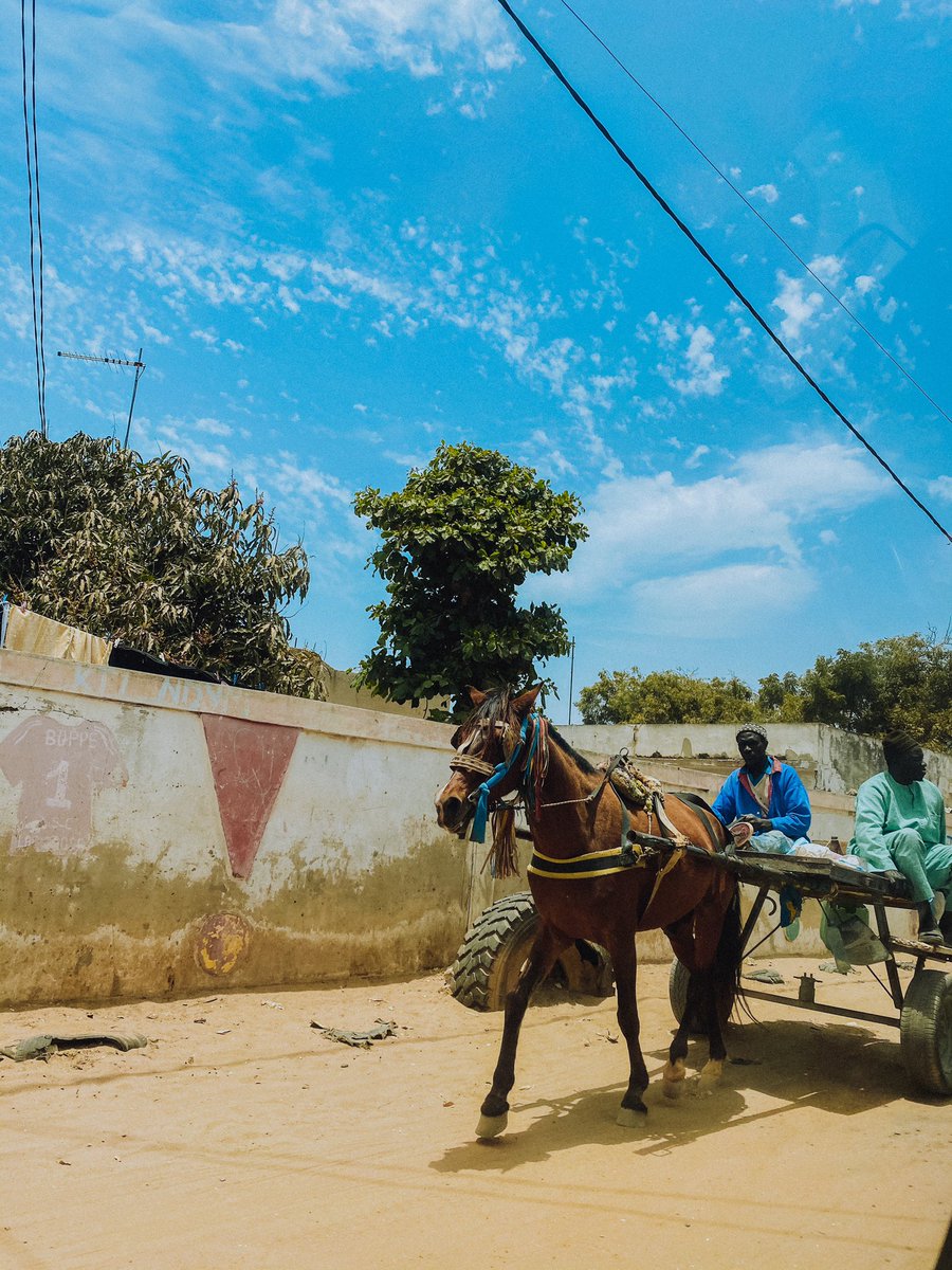 Pink/red lake (lac rose) next. 45 minutes drive from Saly.Horses and carts are such a popular means of moving things and people in Senegal.