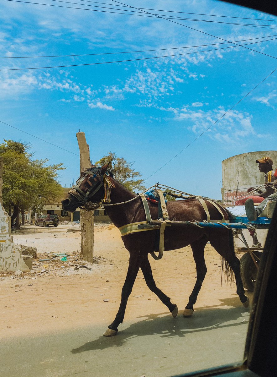 Pink/red lake (lac rose) next. 45 minutes drive from Saly.Horses and carts are such a popular means of moving things and people in Senegal.