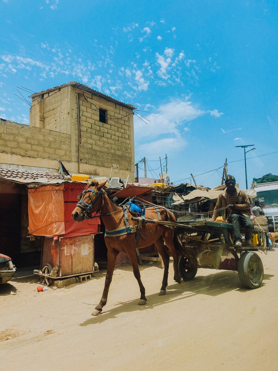 Pink/red lake (lac rose) next. 45 minutes drive from Saly.Horses and carts are such a popular means of moving things and people in Senegal.