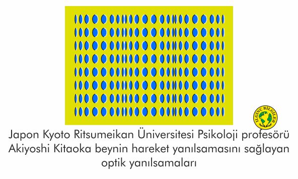 ctnapps2020's tweet photo. Uygulamamızı Play Store'dan indirip günlük yeni bilgiler edinebilirsiniz. İndirmek için sayfamızdaki linke bakın. #şevkikoru #interesting  #bilgi #instagram #yenifikirler #information #enteresanbilgiler #biliyormuydunuz #pratik #yanılsama #enuzun #gotthardbase #kyoto #kitaoka https://t.co/flmN8LzQJJ