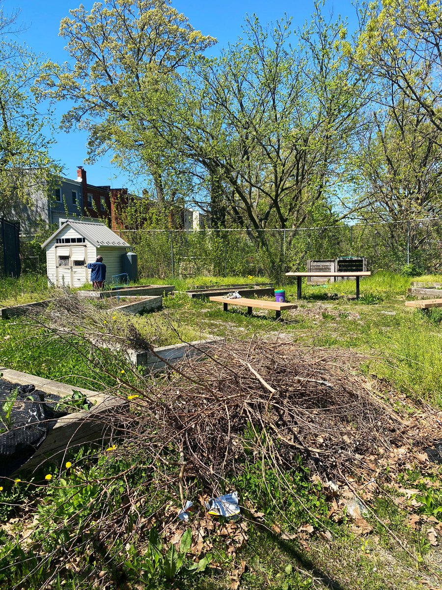 aye! <a href="/kyanitekitchen/">Free Community Pantry DC</a> is pulling up with a car of fresh produce for free! pull up and get some free food, free groceries and help out at the garden. sundaze vibes . ♻️🌱🎉💚✨🌸  free food provided by <a href="/ThinkinKlearly/">Thinkin’ Klearly Non Profit Corporation</a>. come to benning park community garden/rec. #dc #greenwithin