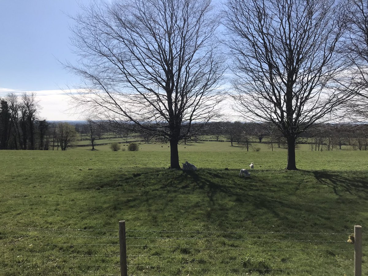 A nice #Walkshire around Thornton le Dale, a wonderful chocolate box village #Spring #NorthYorkMoors