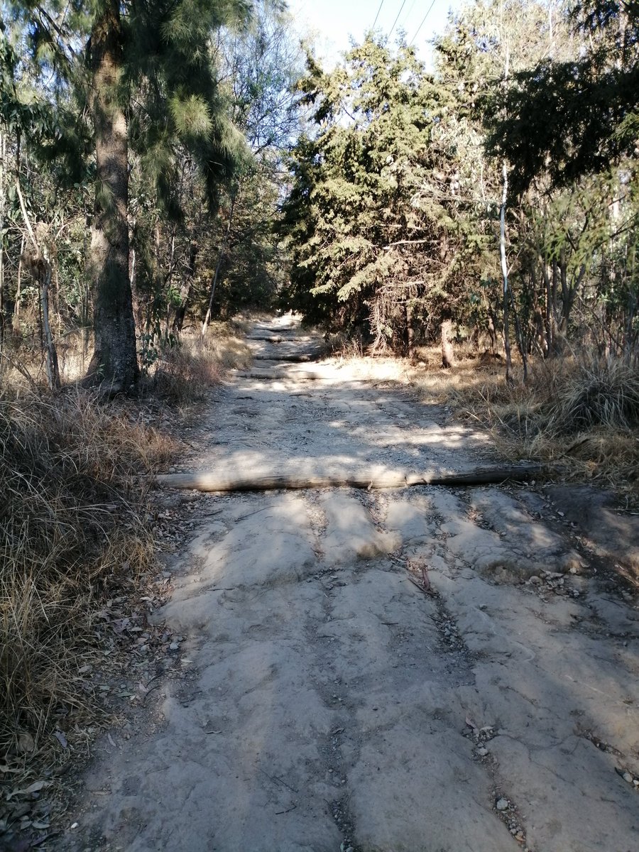 Angelina tweet media