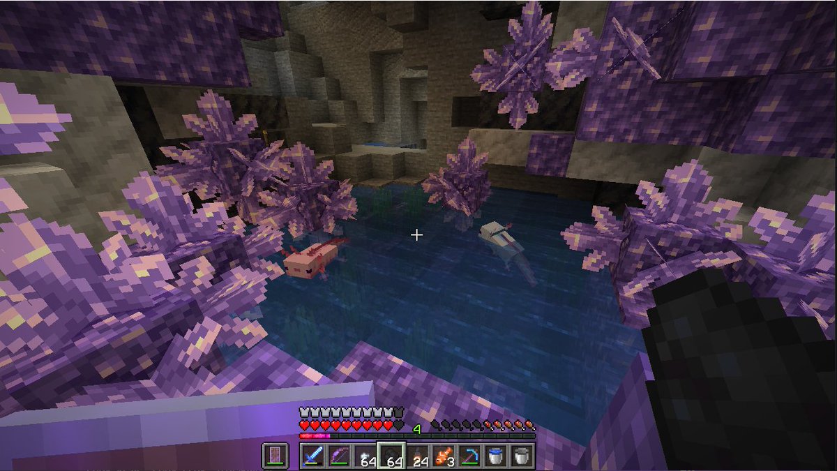 KrysaliaH's tweet photo. Je suis en live sur #minecraft #snapshot #solo pour continuer de m'occuper des axolotls et aussi aller faire un peu d'explo dans les magnifiques cavernes géantes ! Venez chill avec moi <3
https://t.co/StjbALFBQU #Krli
bonus pic : la piscine de lusque des axolotls :D https://t.co/epliROrmA5