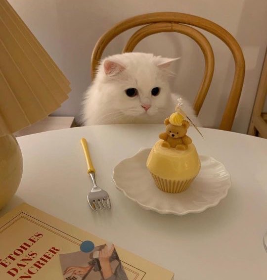 Dekchaikumkom's tweet photo. น้องน่ารักไม่ไหวแล้ว แง🥺 https://t.co/CBxRTZDvwK
