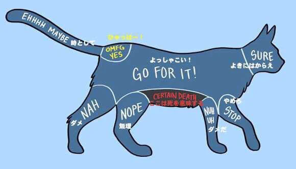 動物を撫でるときの参考に！撫でると喜ぶ各部位まとめ！
