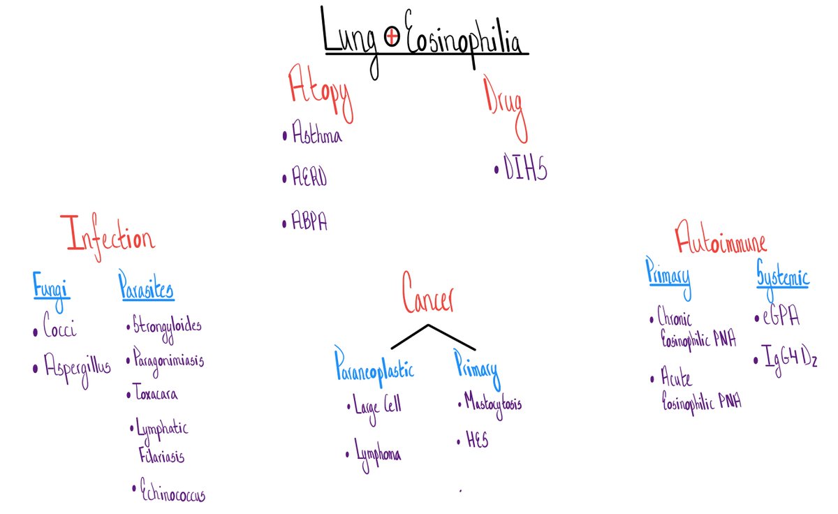#medtwitter friends,

Your patient has pulmonary disease and eosinophilia.

What do you think of this schema?

&lt;3 @DxRxEdu