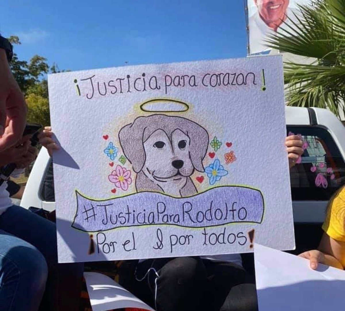 Monshee17's tweet photo. #Simaltratasanimalestemetescontodos https://t.co/C3MLcOVYx6