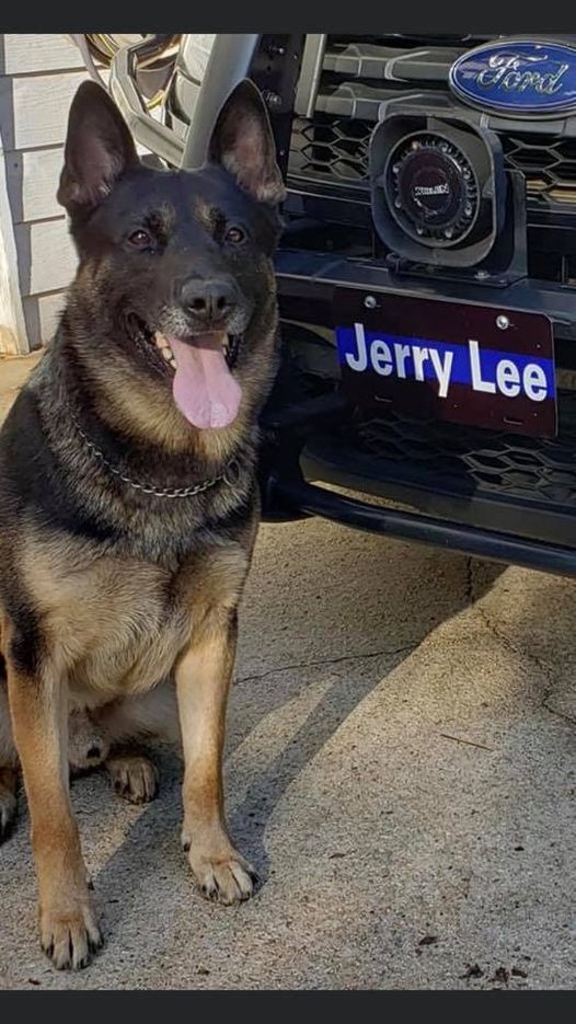 Please keep Austell Police GA and K9 Officer Jerry Lee in your thoughts and prayers. Last night Jerry Lee was assisting on a track for a neighboring agency and was shot by the suspect. Jerry Lee is preparing for surgery at this time.<a href="/LivePDNation/">Benny</a> #BackTheBlue
