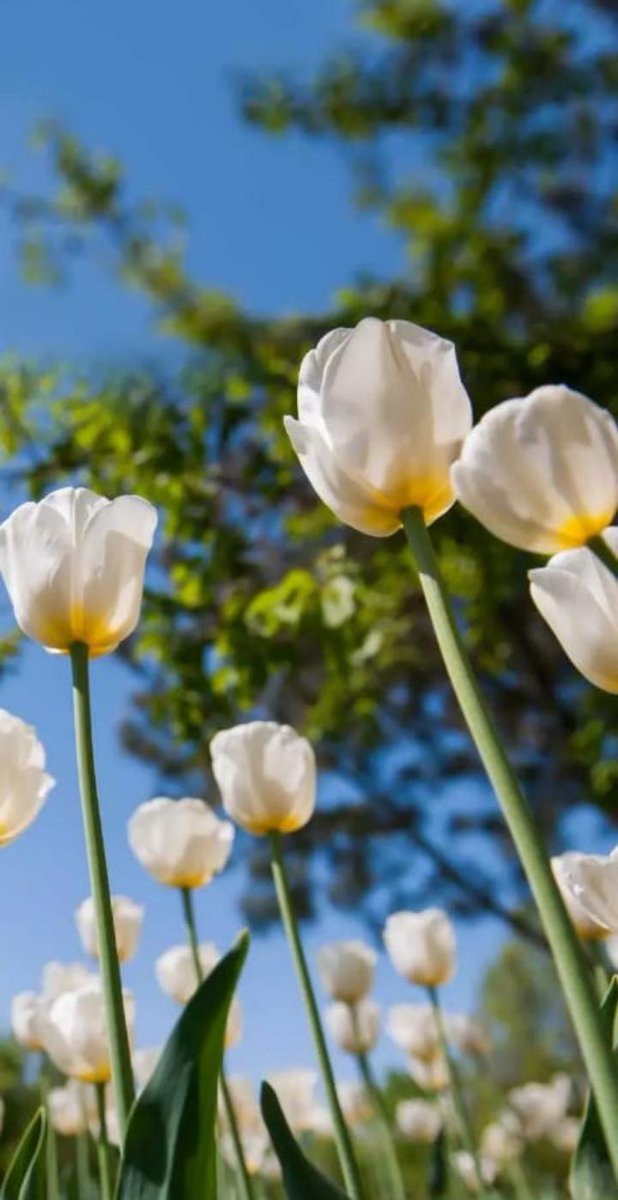 #APG

<a href="/Zarr_9/">Abu-Zarr KHAN Year 9</a>
@shaz2684
<a href="/AB_1pk/">ابرار باجوہ🇵🇰</a> 
<a href="/hd_1069/">Hameed Ullah</a>
<a href="/Ma__no5/">Mano_</a>
<a href="/Ghzl_9/">ghzl</a>
<a href="/apki_ja/">ANMOL</a>
<a href="/Pryhut/">Dardilam</a>
@B__gsh1 
@f_pti1 
<a href="/FasiB12/">Faisal Mukhtar</a> 
<a href="/shz787/">🌟⭐️🌟🌟sʜᴀʜᴢᴀᴅ ᴍᴜɴɪʀ🌟⭐️🌟⭐️</a> 
@MZhr_00 
<a href="/3Mssdm/">🎀SADDAM HUSAAIN🎀</a> 
<a href="/AleemKn/">AleemK(🎂Areesha Meesha Komal Maria)</a> 
<a href="/A_B2pk/">Abrar Bajwa</a>
<a href="/Hafezsays/">HafeezkhanNiazi🇵🇰🇸🇦</a> 
@PTI_781 
@muhamma51869571 
@Waji_K_ 
<a href="/aqsajanbaz/">اقصی جانباز</a> 
<a href="/MJml50/">Muhammad jamil</a> 
<a href="/Arif184/">Arif Mughal</a> 
@Aea13048072
<a href="/YPS26/">𝑌𝑎𝑆𝑖𝑅 𝑆𝒉𝑎𝒉𝑍𝑎𝐷</a>