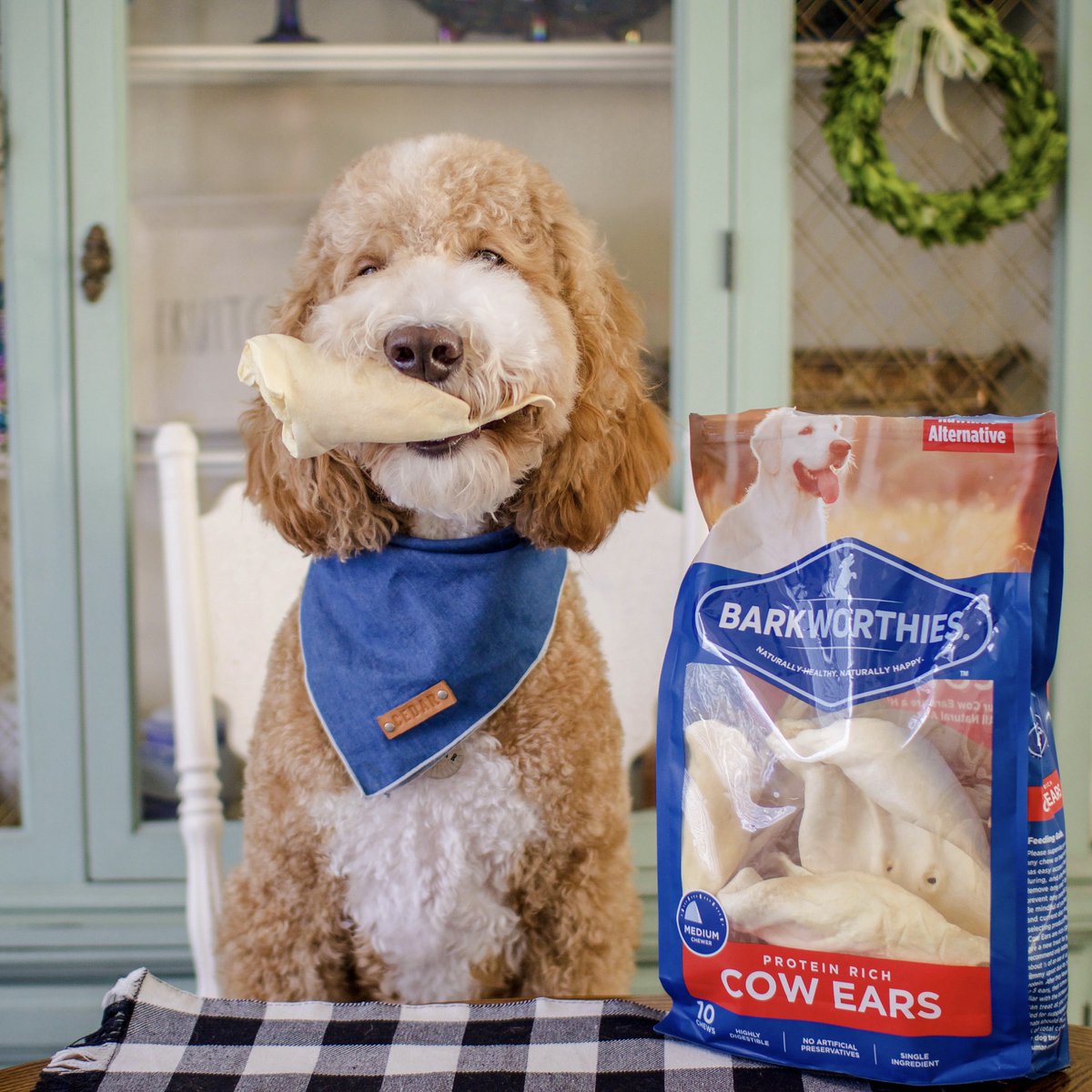 Spring is in the air and there's no better way to celebrate than with a delicious #barkworthies Cow Ear!