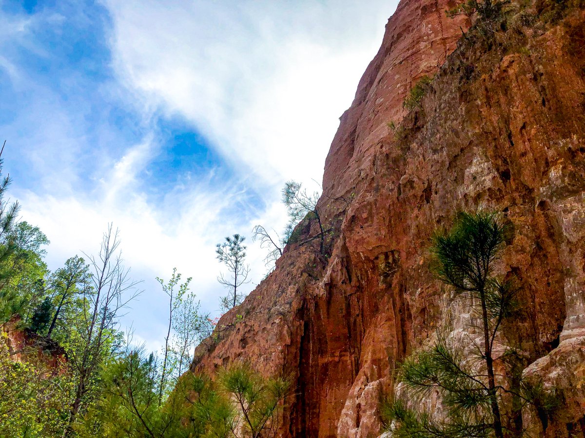 DirtM00N's tweet image. These are the images I used as a reference for the Pink Moon #DFMS Cover. I loved that I could use the images from my archives rather than sourcing them online...