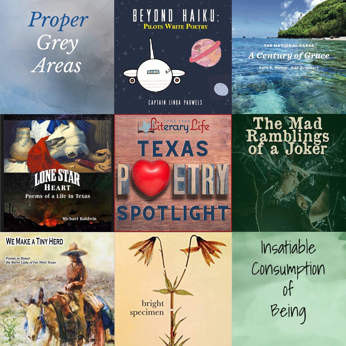 Celebrate #NationalPoetryMonth Texas-style with the @LoneStarLit Texas Poetry Spotlight + #WIN 1 of 8 autographed poetry collections! Visit Bit.ly/LoneStarPoetry… for titles.
#TexasPoets #TexasPoetry #LiteraryTexas  lonestarliterary.com/content/texas-… 

Rafflecopter:
rafflecopter.com/rafl/display/1…