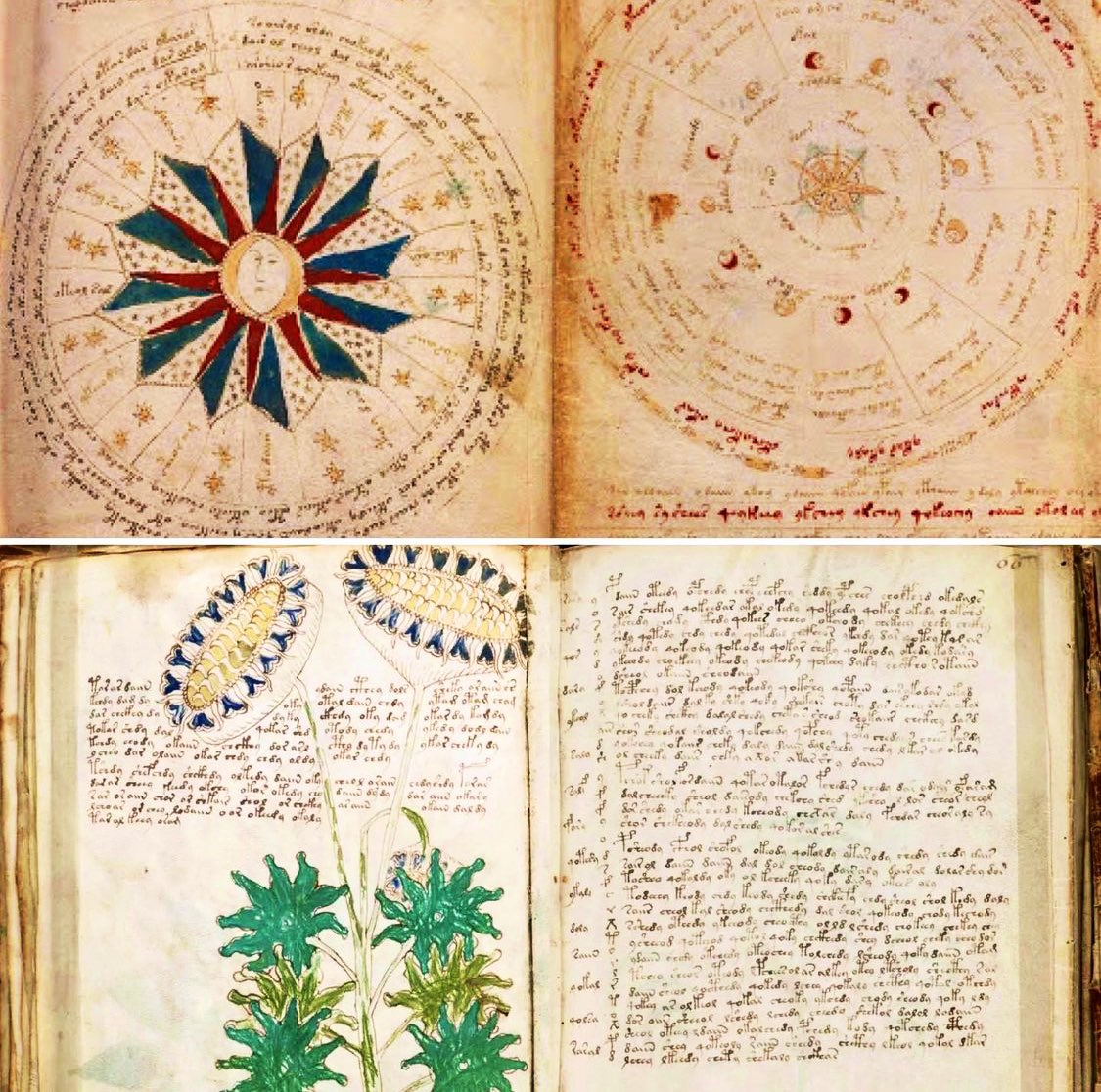 pdf voynich manuscript pdf voynich manuscript