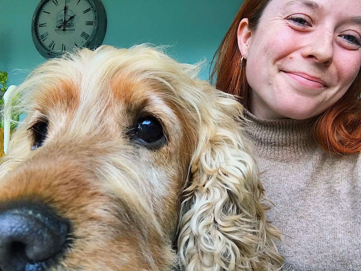 katie coull (She/Her) tweet media