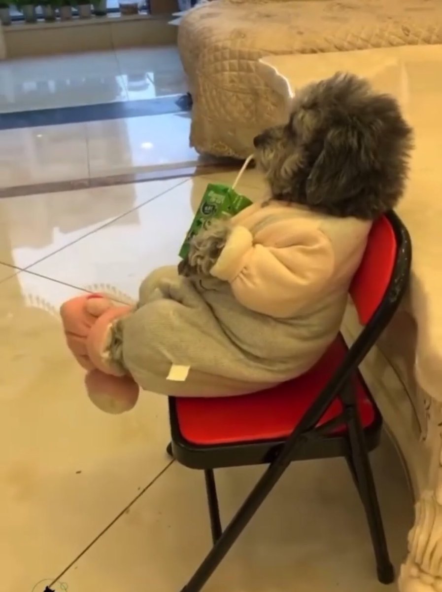 REALONEXO's tweet photo. me at peace after I chose violence 🌚 https://t.co/cJA8LnQiLJ