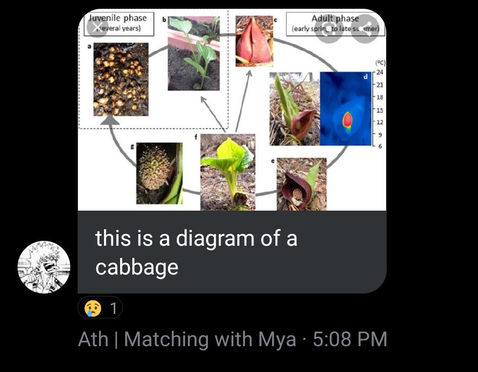 a thread of people losing braincells in the gc’s:
