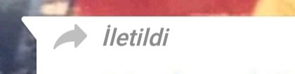 pınar tweet media