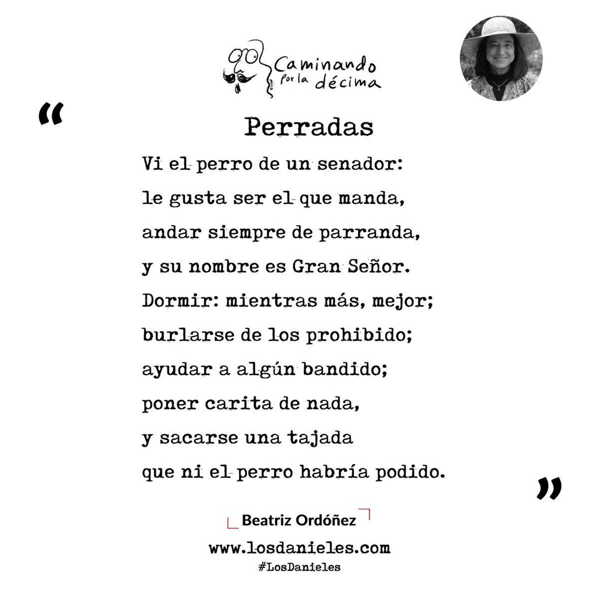 LosDanielesFans's tweet photo. Caminando por la décima | #Perradas
Por: Beatriz Ordóñez.
#LosDanieles https://t.co/HVLJAEAPej