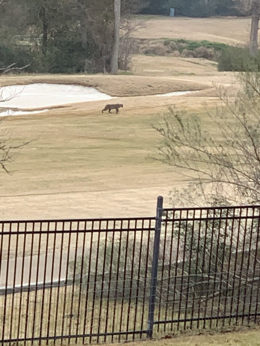 Billy Liucci tweet media