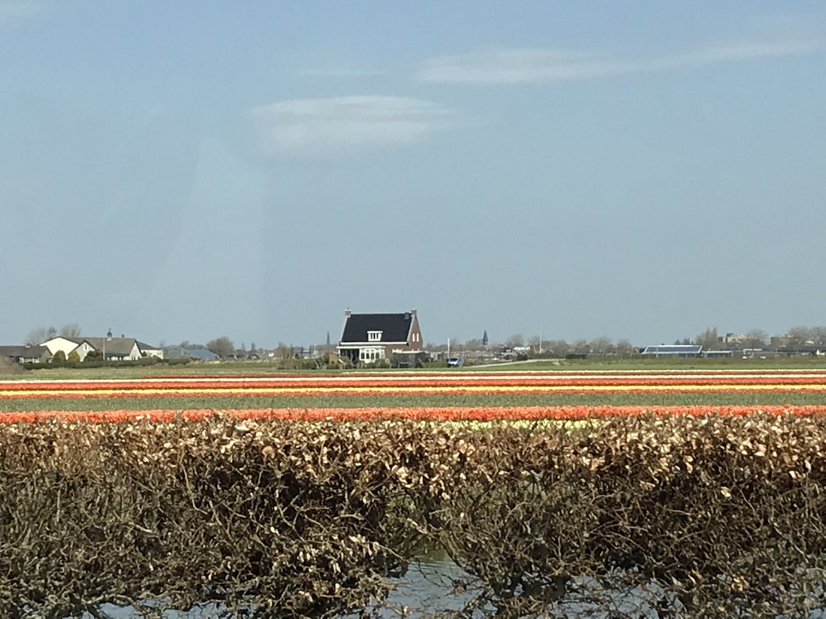 ImpactConnector's tweet photo. Dutch at its best https://t.co/2zYunmeJaX
