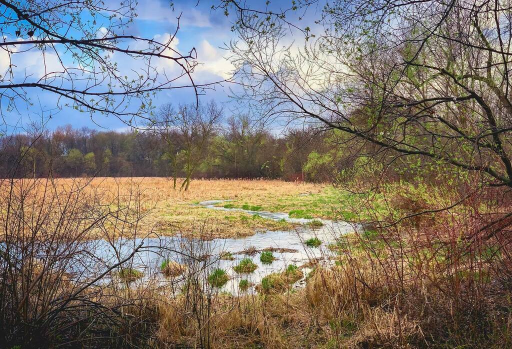 iLoads's tweet photo. -sign of spring-

#chanhassen #minnesota #boldnorth #capturemn #thisismymn #onlyinmn #exploremn #twincities #creek #ricemarshlake #spring #springtime #landof10000lakes #minnesota365 #minnesota_captures #captivatemn #minnesotaexposure #hereinmn #myminneso… https://t.co/L286i3qIs3 https://t.co/th6CjsDvFt