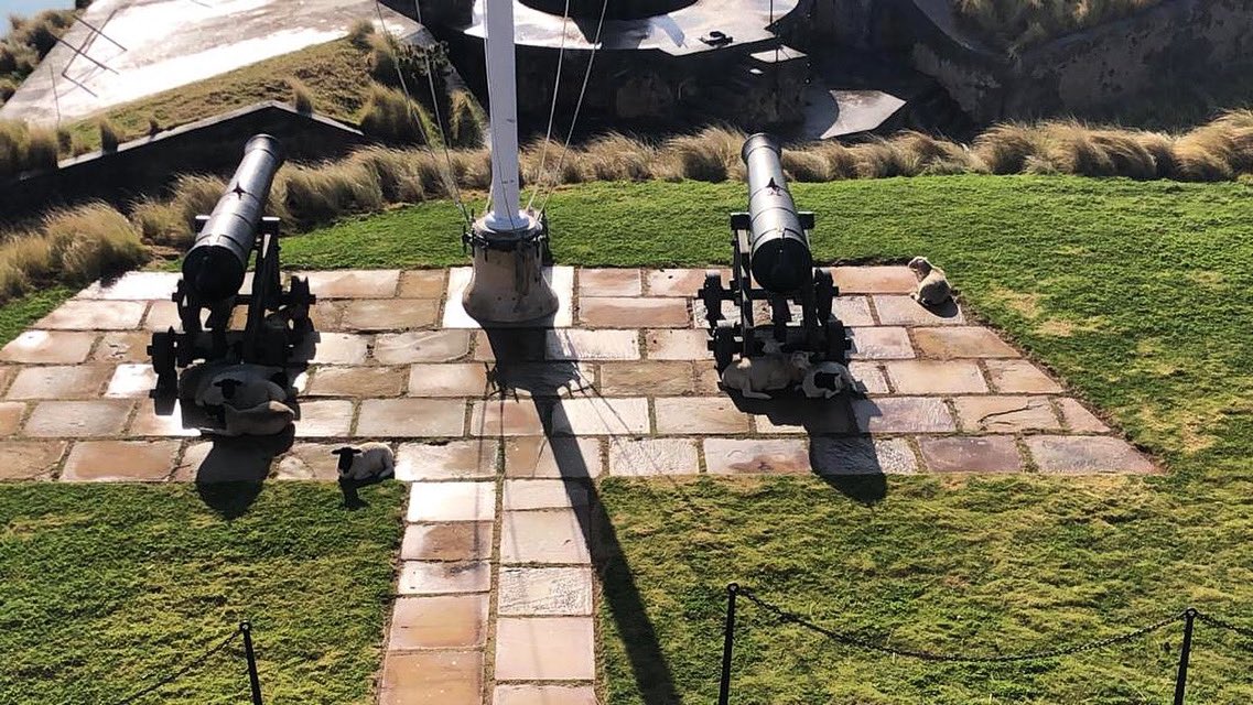 NatlMuseumBDA's tweet photo. Lockdown take two, day 6. Sunday = naaaaap day. Can you spot the NMB sheep-scapers taking a well deserved break? #nmbsheep #museumsheep https://t.co/WSVjurwZod