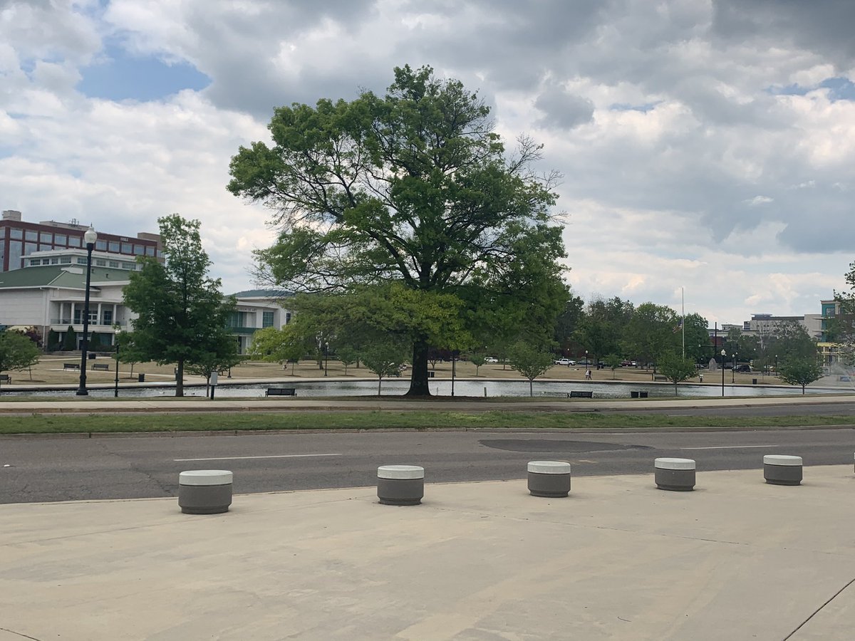 sophiaborrelli's tweet photo. Views from my office today! What a beautiful day to enjoy the weather!!! #bigspringpark #getoutdoors @WAAYTV https://t.co/jVhl9YzJ8i