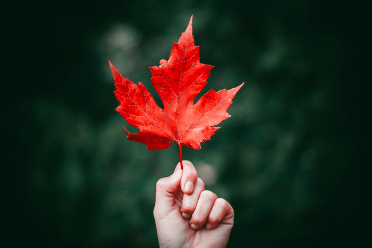 InfinitePaintr's tweet photo. Weird colors you've probably never heard of: #Coquelicot
#WeirdColors https://t.co/m0vhO0WHLV