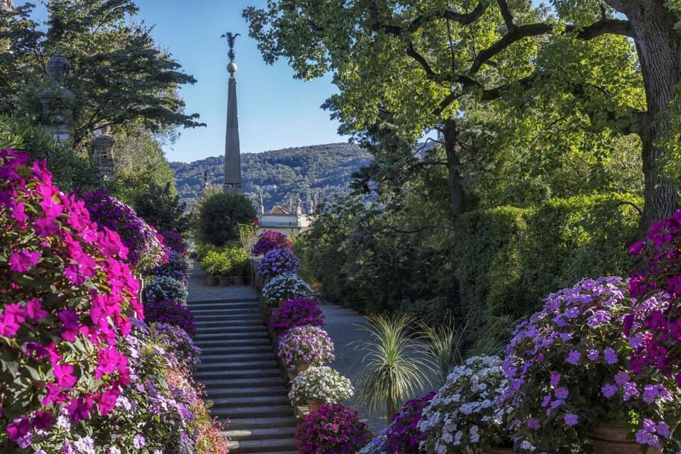 la_potina's tweet photo. «Qui, sulle terrazze-giardino dell'Isola Bella, ho goduto una magnifica mattina della tarda estate; e per la prima volta ho sentito il mio spirito pienamente appagato e colmo della speranza di un nuovo e armonioso futuro»
Richard Wagner
#backtobeauty https://t.co/0w82ABoGyB