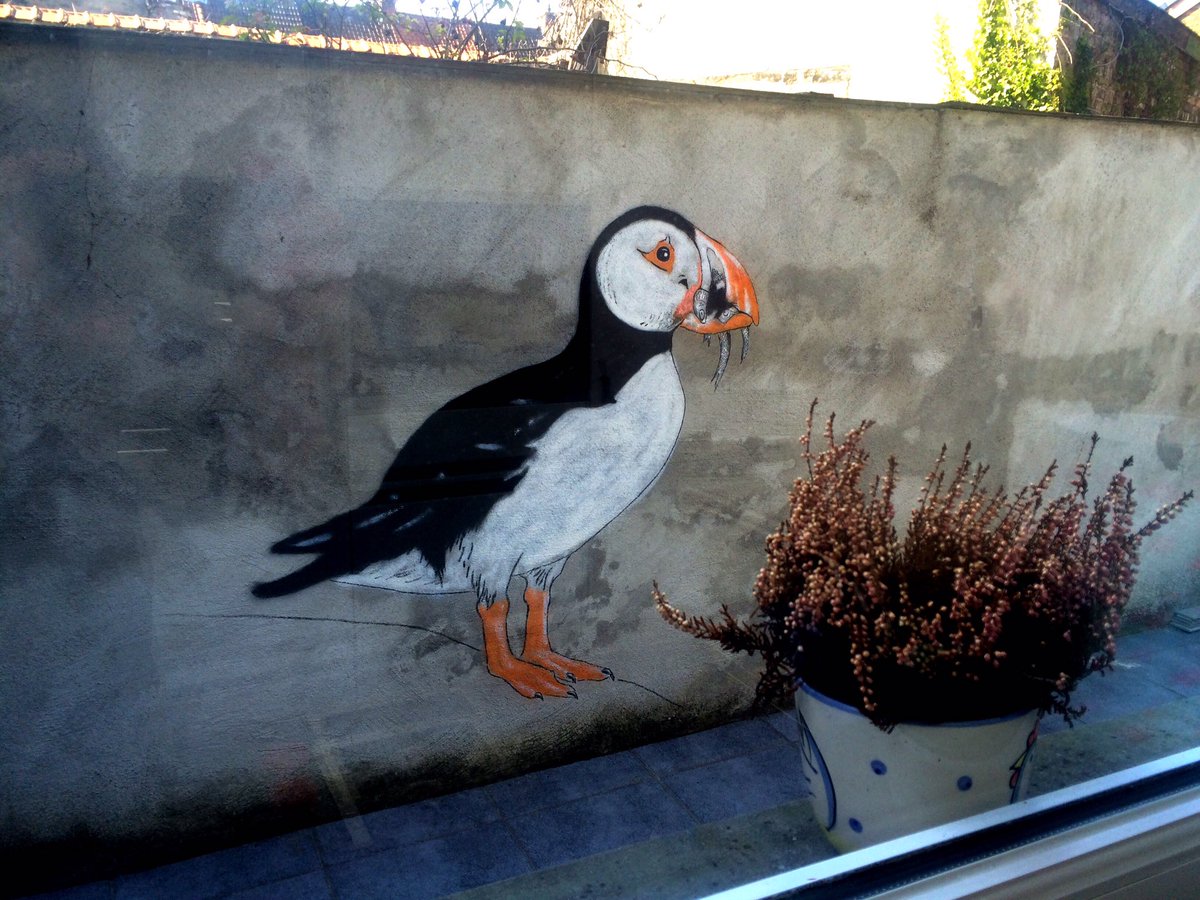 KrieBeLaRT's tweet photo. Afternoon puffin painting #puffin #papegaaiduiker #bird #streetart #pochoir #stencil #freehand #spraypaint #brugge #bruges #graffiti https://t.co/MSIwoY6A82