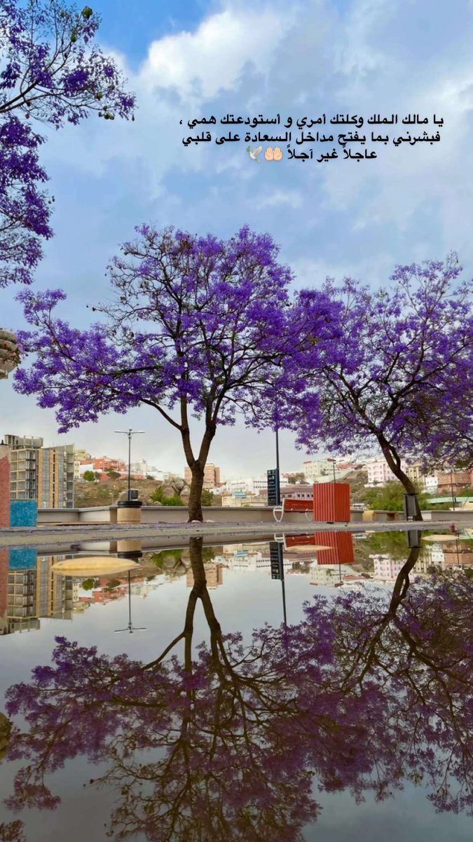 حُلم (@simoas2013) on Twitter photo 