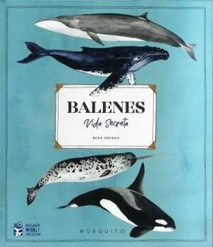 Rals llibres (@ralsllibres) on Twitter photo I quins llibres recomanem per a aprendre, per a descobrir el món? Us proposem aquests llibres de <a href="/EdFlamboyant/">Editorial Flamboyant</a> <a href="/mosquitobooks/">Mosquito Books</a> <a href="/ZahoriBooks/">ZahoriBooks</a> <a href="/BarcanovaLit/">Barcanova Literatura Infantil i Juvenil</a> I quins llibres recomanem per a aprendre, per a descobrir el món? Us proposem aquests llibres de <a href="/EdFlamboyant/">Editorial Flamboyant</a> <a href="/mosquitobooks/">Mosquito Books</a> <a href="/ZahoriBooks/">ZahoriBooks</a> <a href="/BarcanovaLit/">Barcanova Literatura Infantil i Juvenil</a>