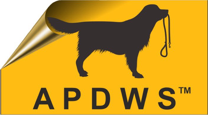 Our news page is now live, come and have look plus we have made a few cosmetic changes #apdws #news #dogwalking #dogs visit us at apdws.co.uk