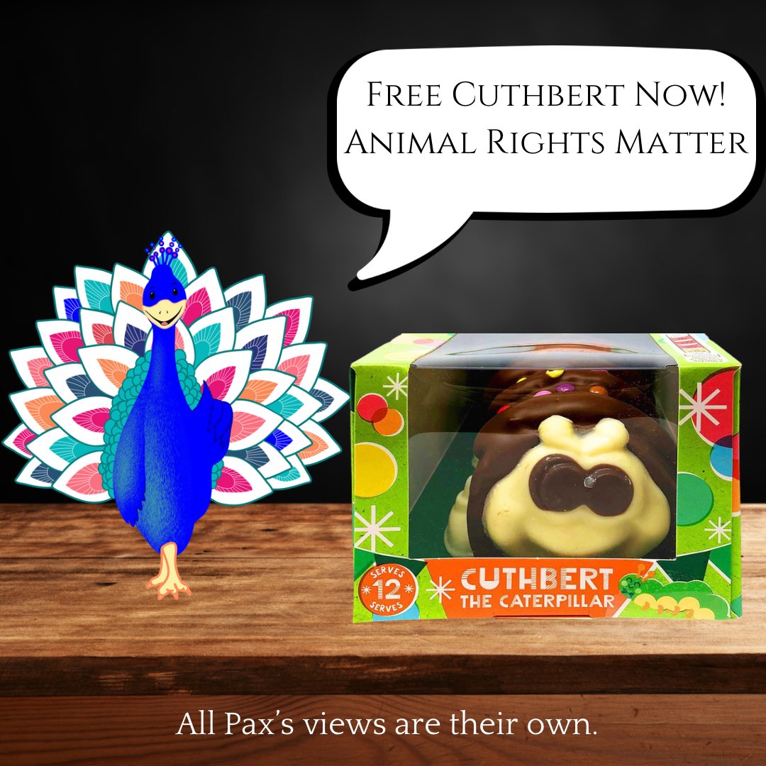 Just wondering if <a href="/AldiUK/">Aldi Stores UK</a>’s Cuthbert the Caterpillar needs some support?

Pax the Peaceful Peacock is willing to support!

Come on animals of the world: we gotta get behind Cuthbert!

#freecuthbert #ifyouknowyouknow #peacocksupport #animalsupport #PaxMeansPeace #MarksAndSnitches