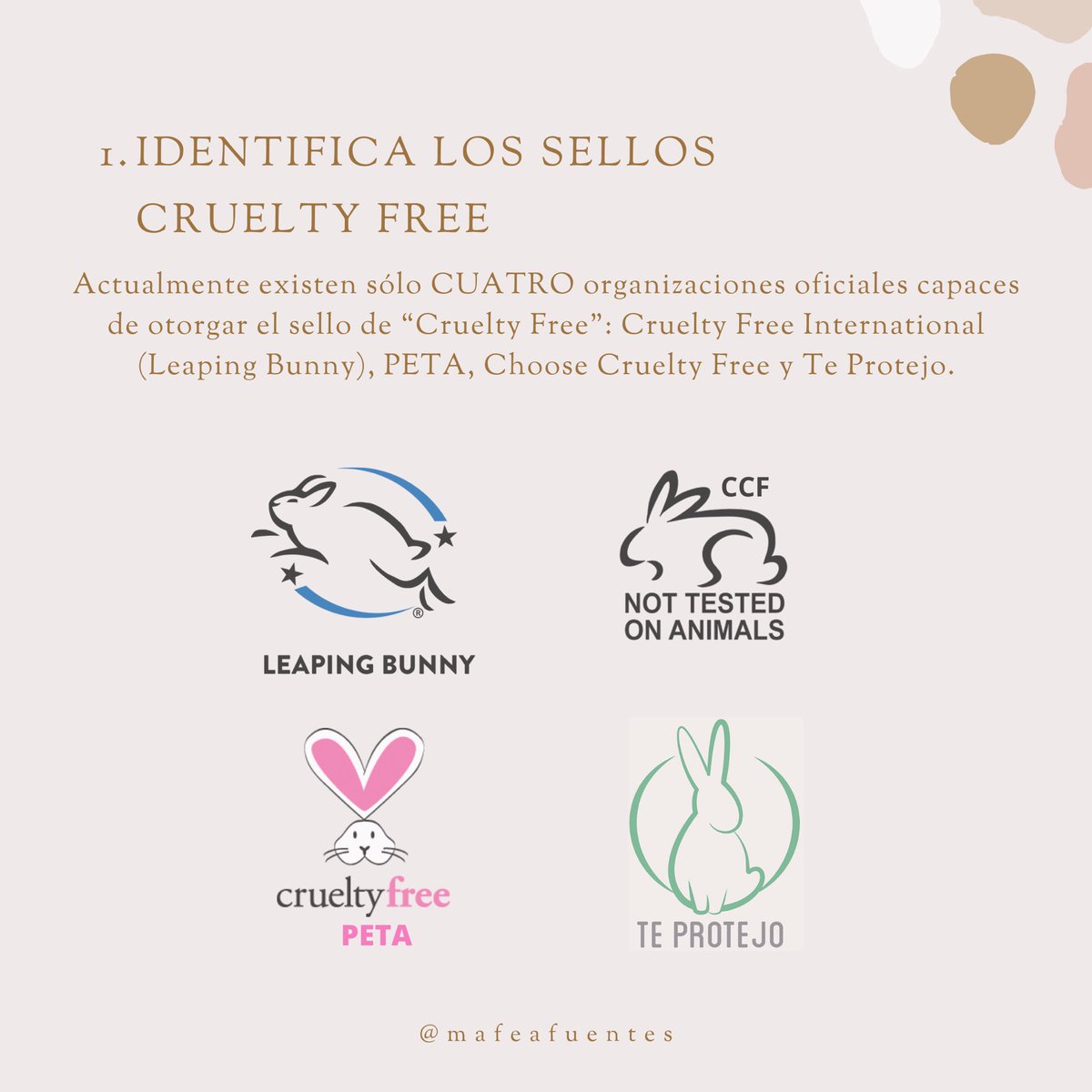 mambientalistac's tweet photo. El cortometraje #SaveRalph tiene como finalidad denunciar y hacernos reflexionar sobre las pruebas de cosméticos en animales🐰🌎 ¿Quieres saber cómo identificar si un producto es libre de crueldad animal? Nuestra #AmigaMAC @mafeafuentes, te comparte tres pasos que te ayudarán👇 https://t.co/BVF1PV1WSK