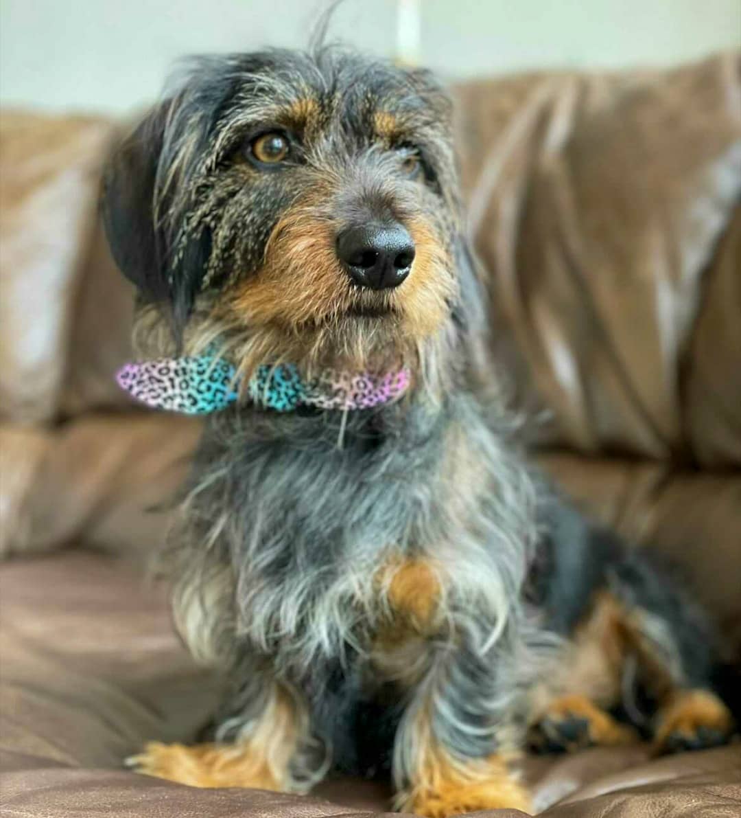 Sunday stylin'. 
#sethbows