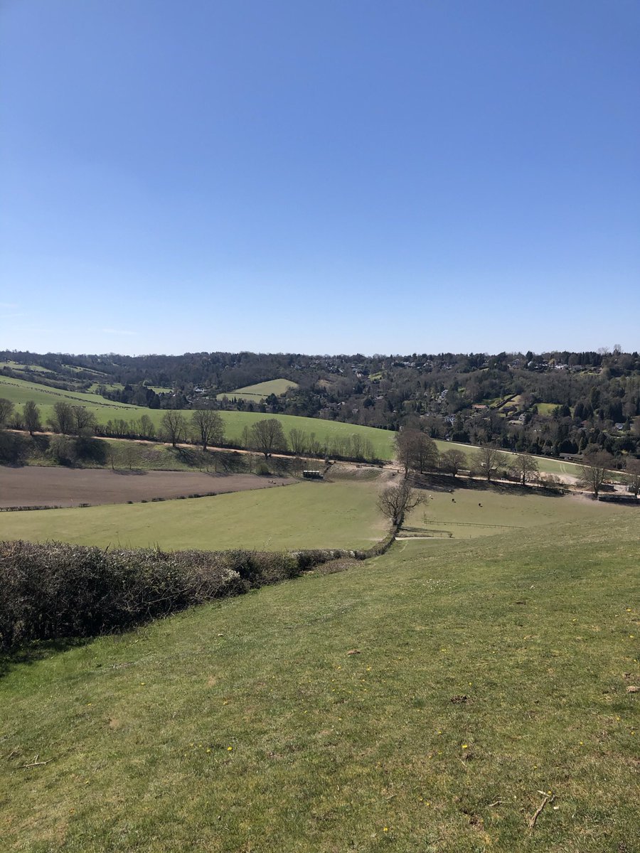 India Lucas tweet media