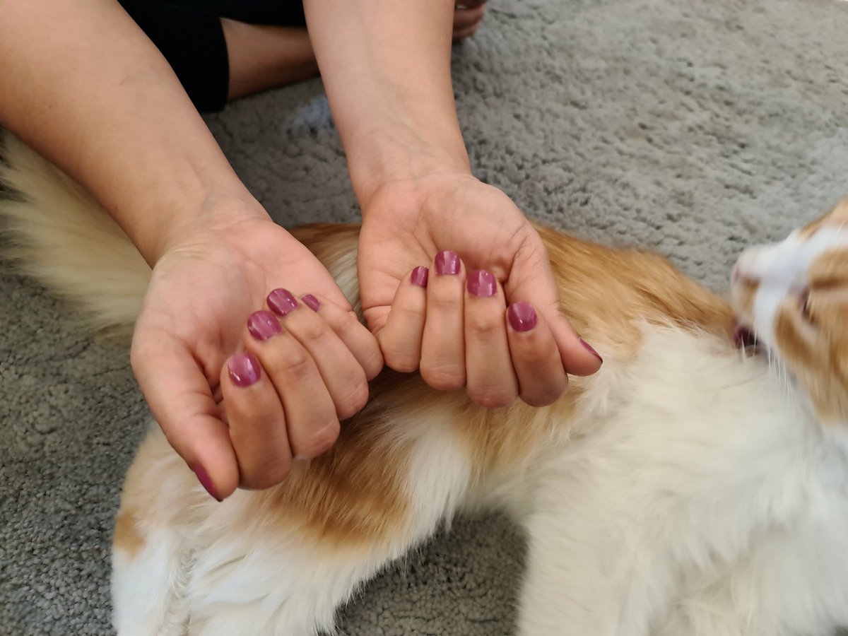 Redseanails's tweet image. Happy doing her nails..
#naturalcolornails