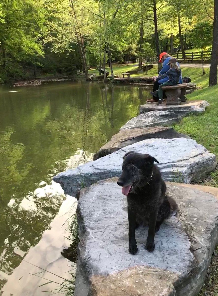 ChrisStapleton's tweet image. Maggie.