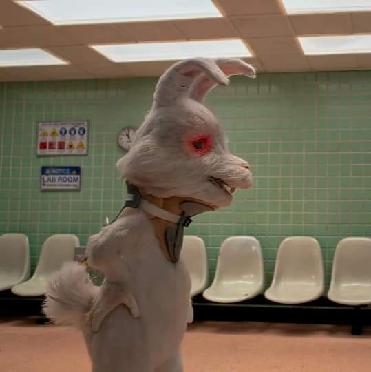 heaceseung01's tweet image. tw // animal abuse

1 week ago hsi (humane society international) released short movie directed by spencer susser called #SaveRalph. Ralph is a rabbit that people's using for to test cosmetics, hsi started a campaign with the same name, save ralph.