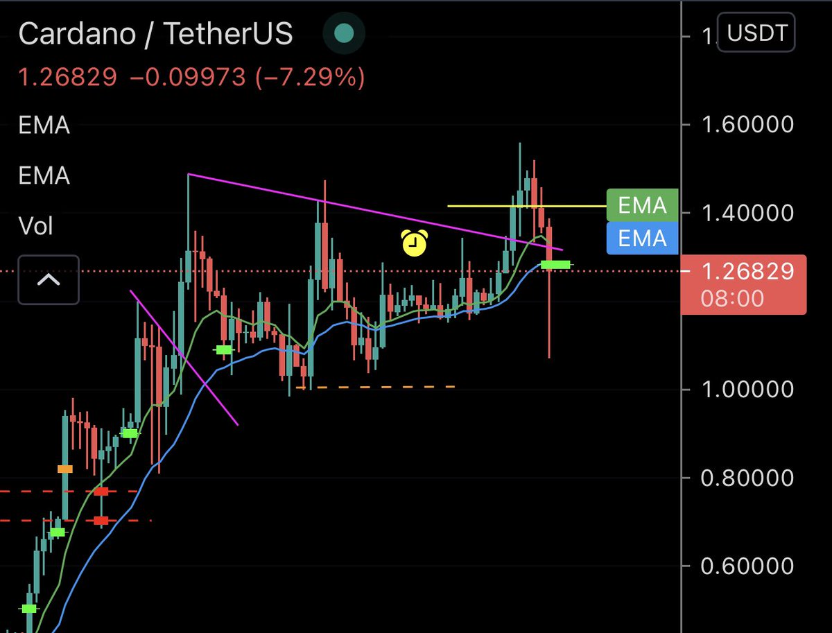 Eunicedwong's tweet photo. People wanted to know about my longer term holdings, which I added in the pullback. #ADA and #VET based on FA. https://t.co/0rO9jAVsPU