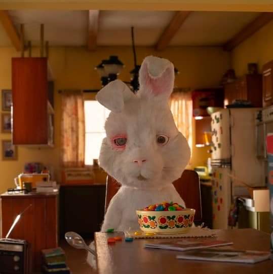heaceseung01's tweet image. tw // animal abuse

1 week ago hsi (humane society international) released short movie directed by spencer susser called #SaveRalph. Ralph is a rabbit that people's using for to test cosmetics, hsi started a campaign with the same name, save ralph.
