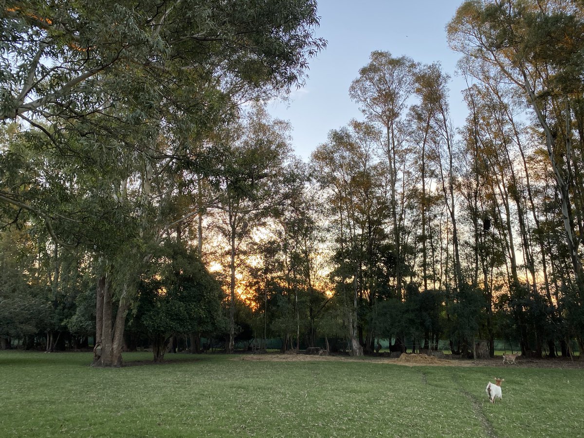 Atardeceres de otoño en un mundo aparte, muy cerquita de tu casa.