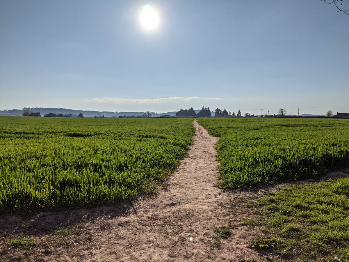 Never has the world looked so beautiful to me.A year now and still fighting effects of Covid.The countryside can be a healer.This is my path and I shall walk it with my stick, listening to the #birds lucky to have #Countryside #wildlife #Herefordshire #hereford #Photos